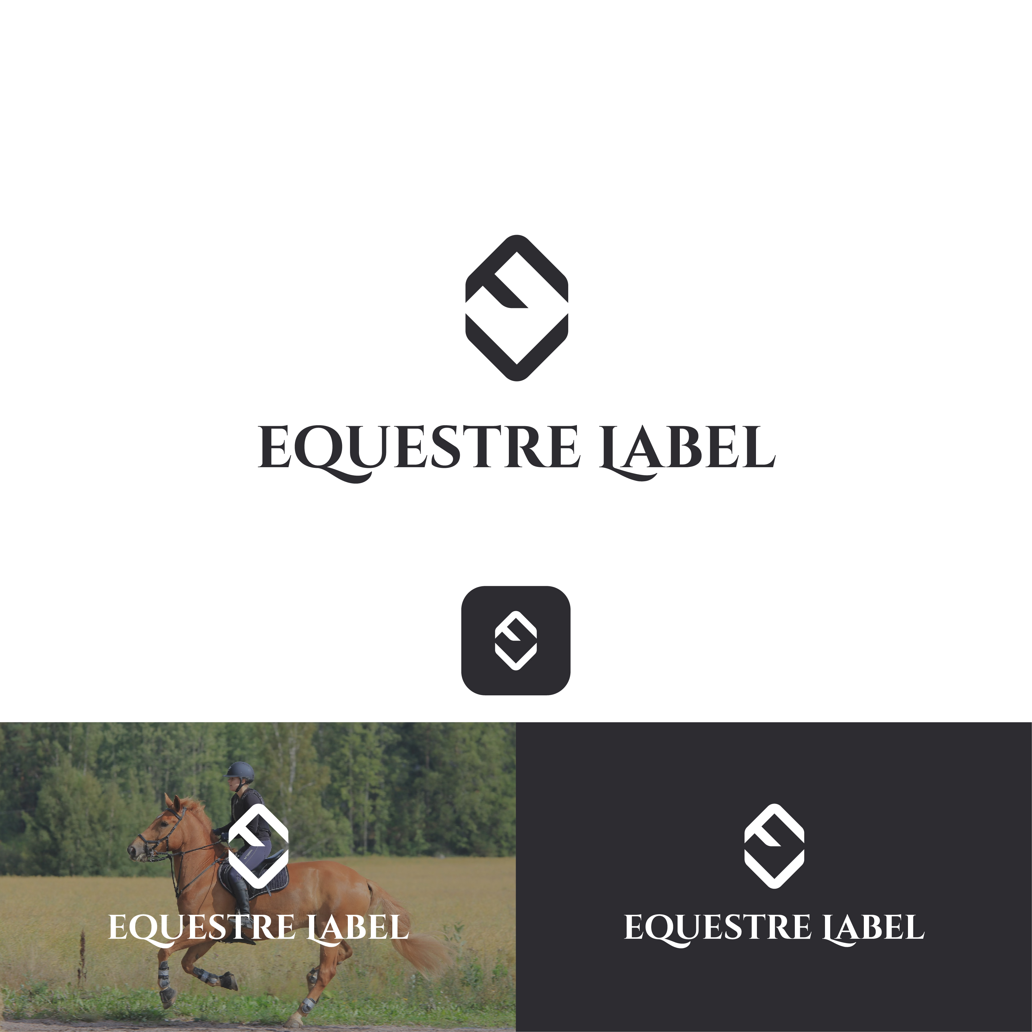 Diseño de Logo por Boril Std para este proyecto | Diseño #34153832