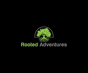 Logo Design by Spark  Design for this project | Design: #34163706