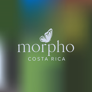 Logo Design by Franabanana for this project | Design: #34165990