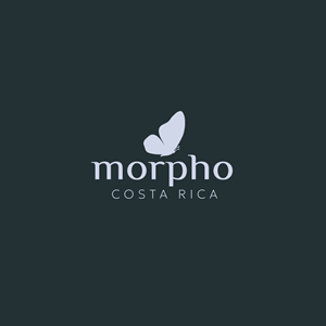 Logo Design by Franabanana for this project | Design: #34240859