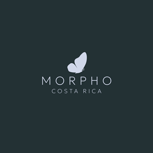 Logo Design by Franabanana for this project | Design: #34306862