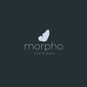 Logo Design by Franabanana for this project | Design: #34359809