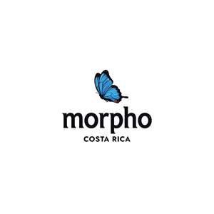 Logo Design by JohnnyCactus