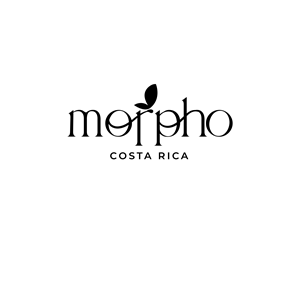Logo Design by PaoloP for this project | Design #34167606
