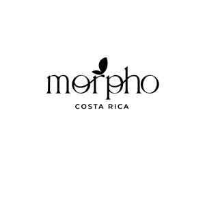 Logo Design by PaoloP for this project | Design: #34167607