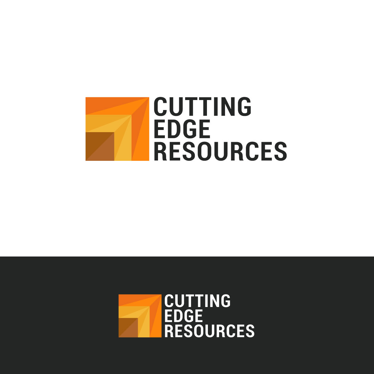 Diseño de Logo por chris Ray para este proyecto | Diseño #34162368