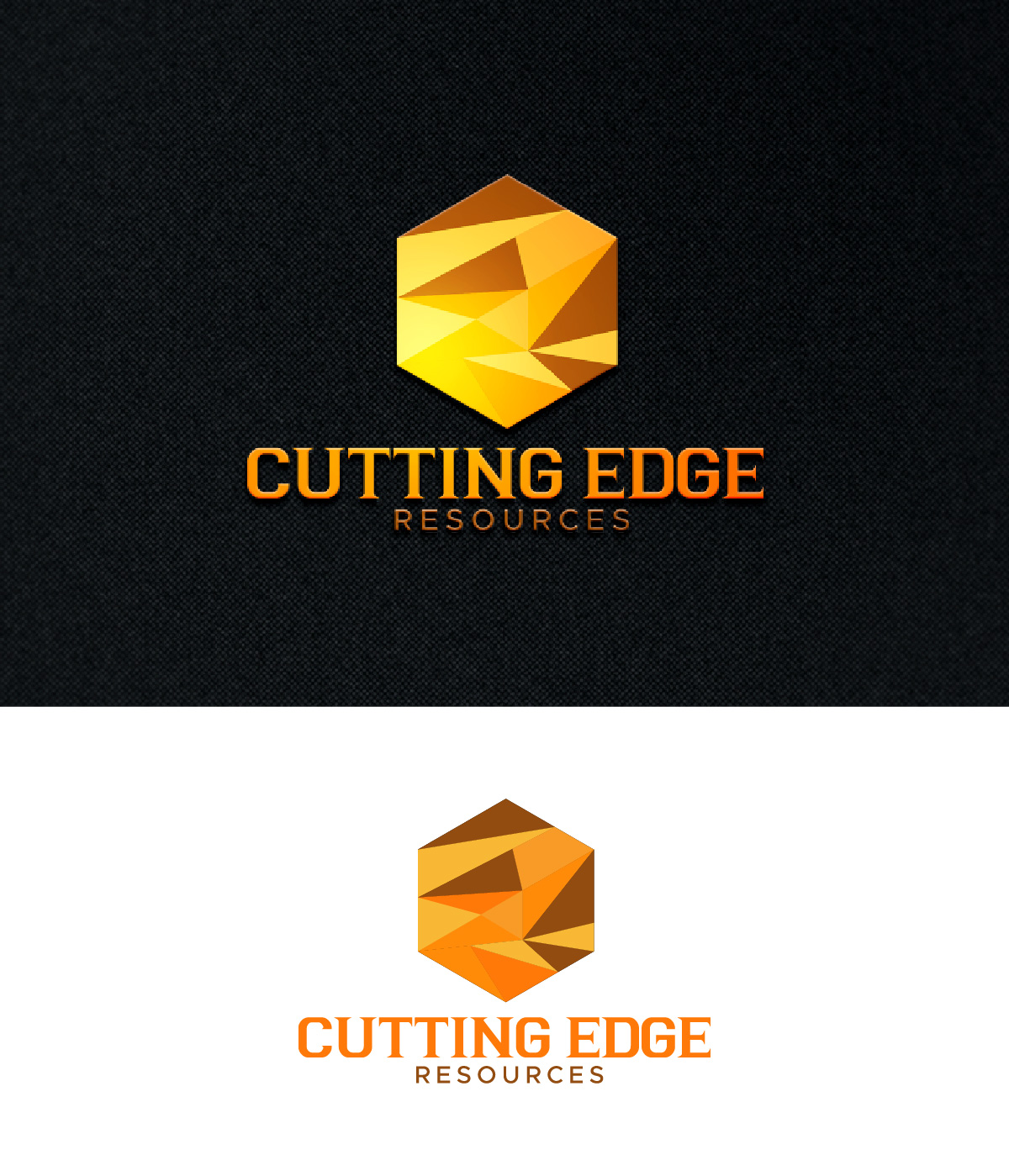 Diseño de Logo por fly  design para este proyecto | Diseño #34175007