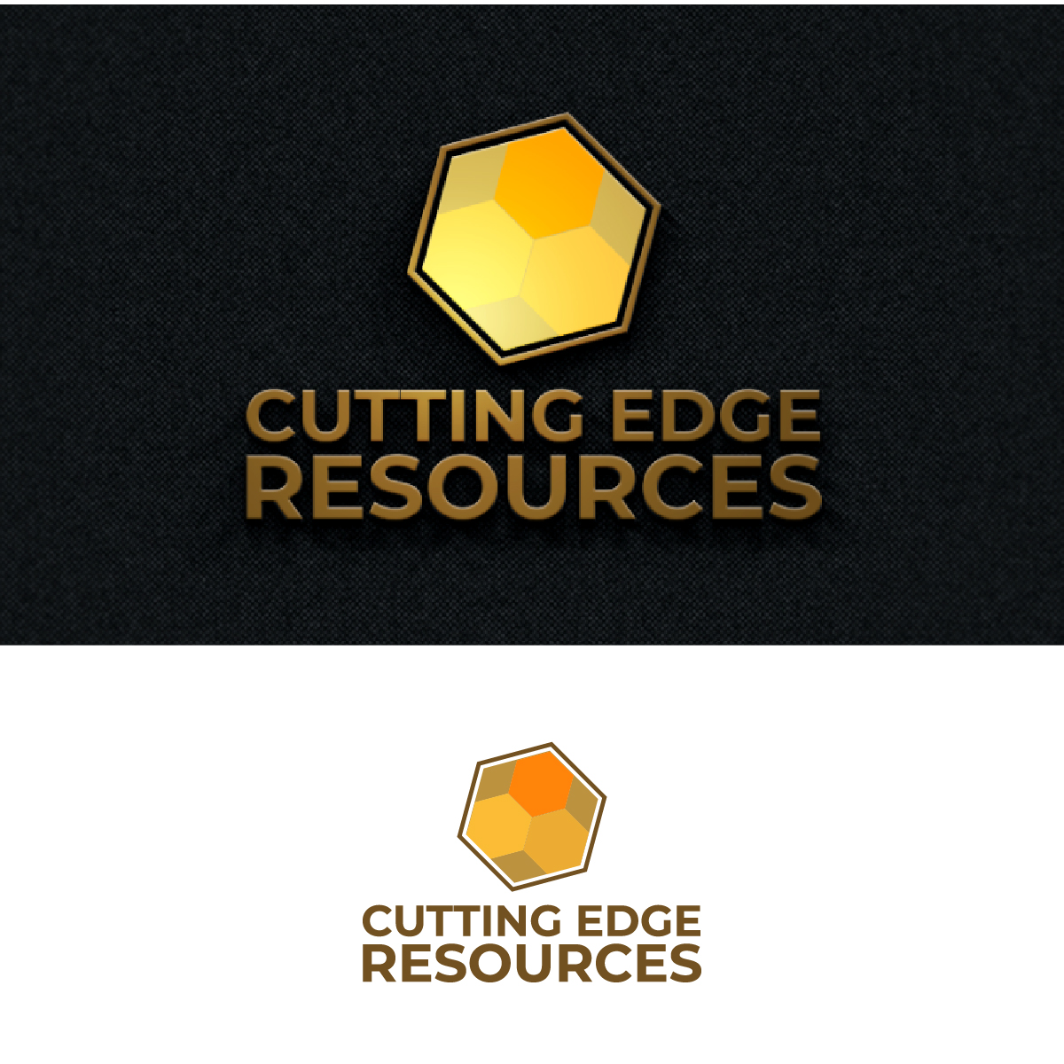 Diseño de Logo por fly  design para este proyecto | Diseño #34175009