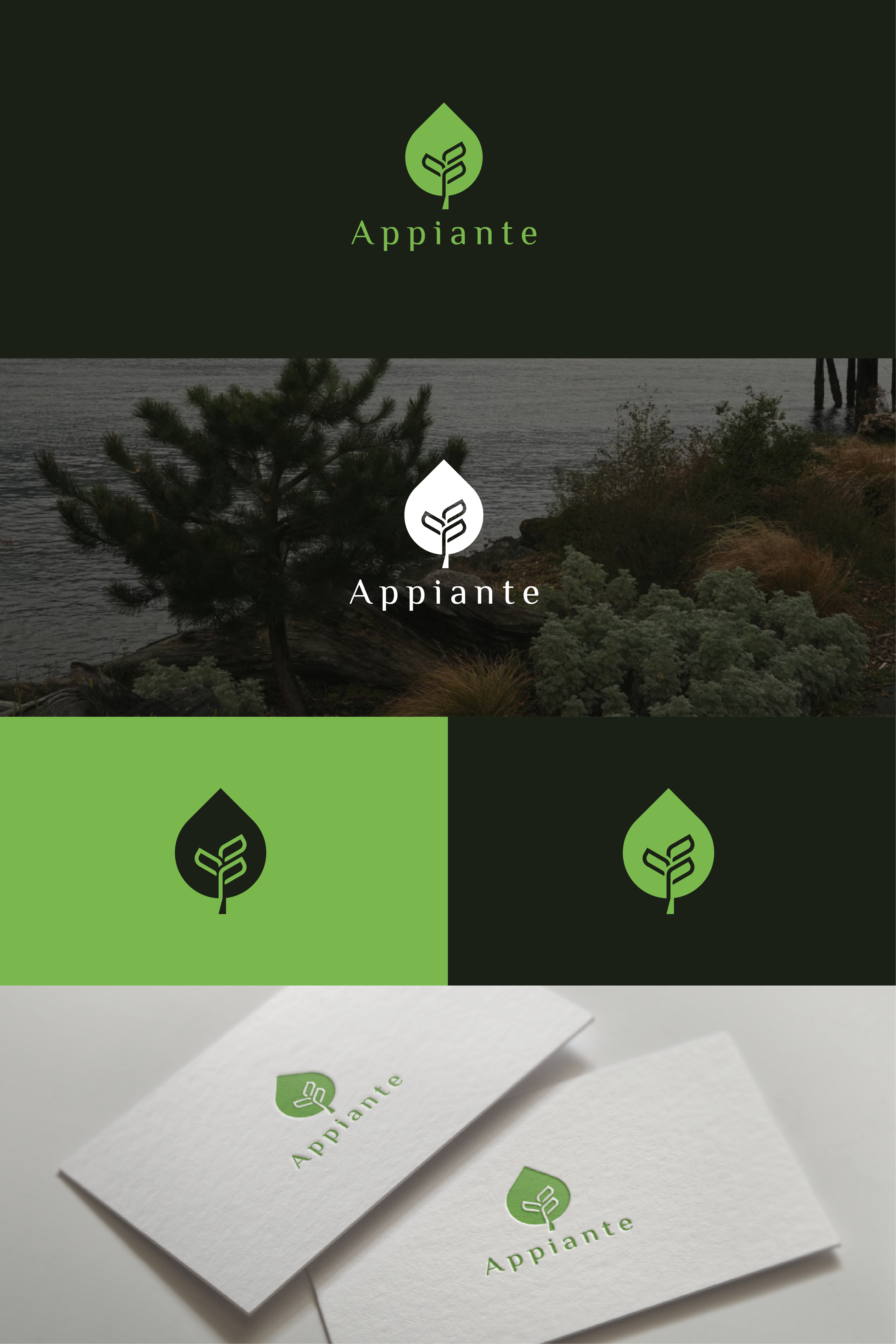 Logo Design by Boril Std for this project | Design #34194575