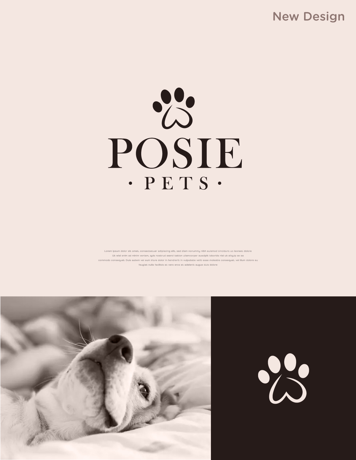 Logo-Design von apik. für dieses Projekt | Design #34185123