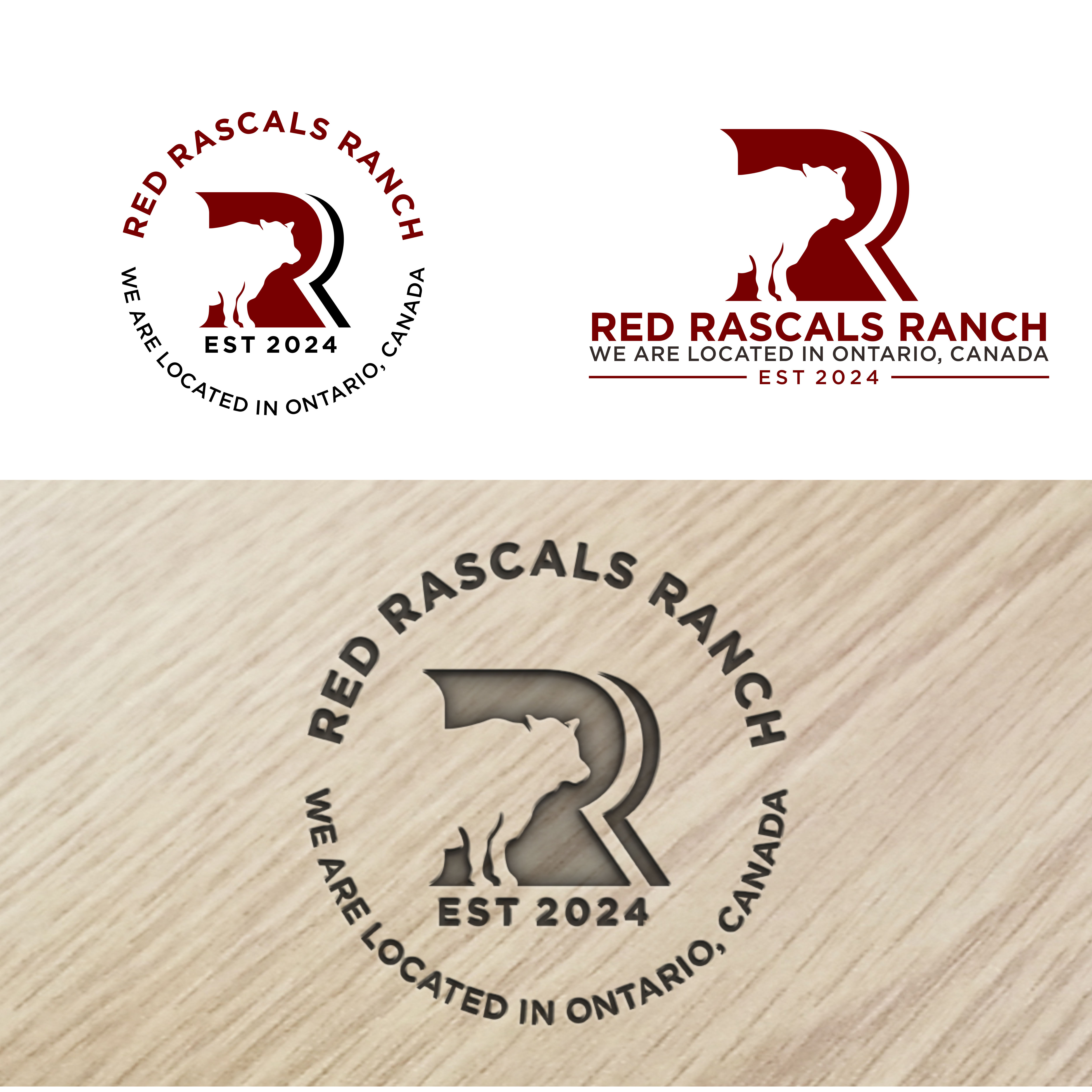 Logo Design by Astro D for this project | Design #34207373