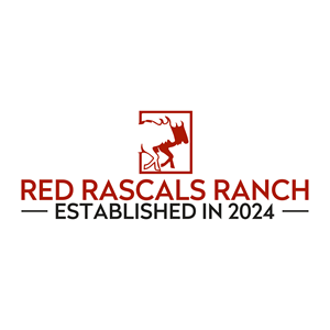Logo Design by Olivia Marie Smith