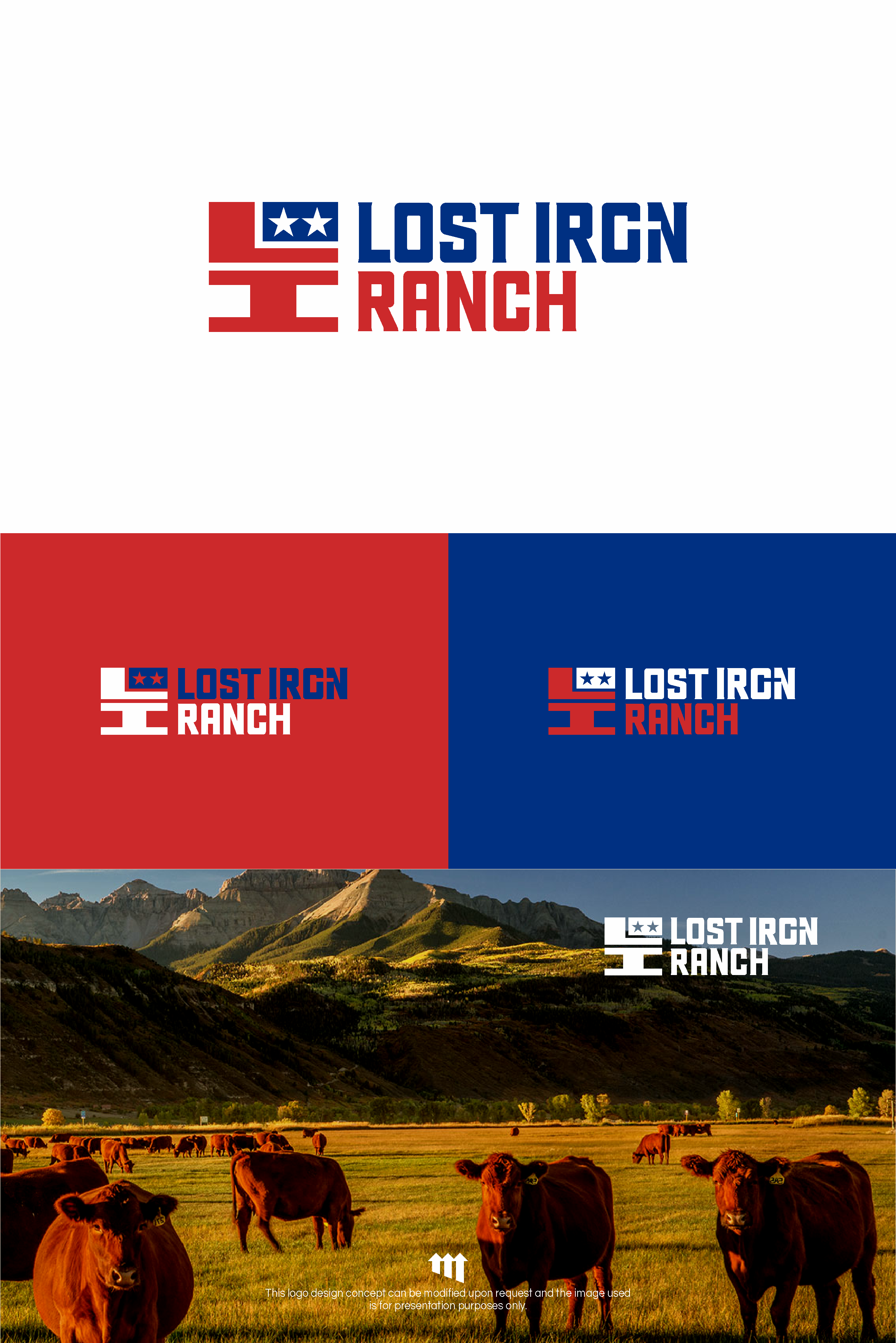 Diseño de Logo por MBARO para este proyecto | Diseño #34249150