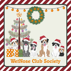 Xmas card for doggie day care
