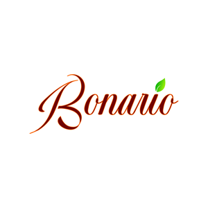 Logo Design by Rudistudio