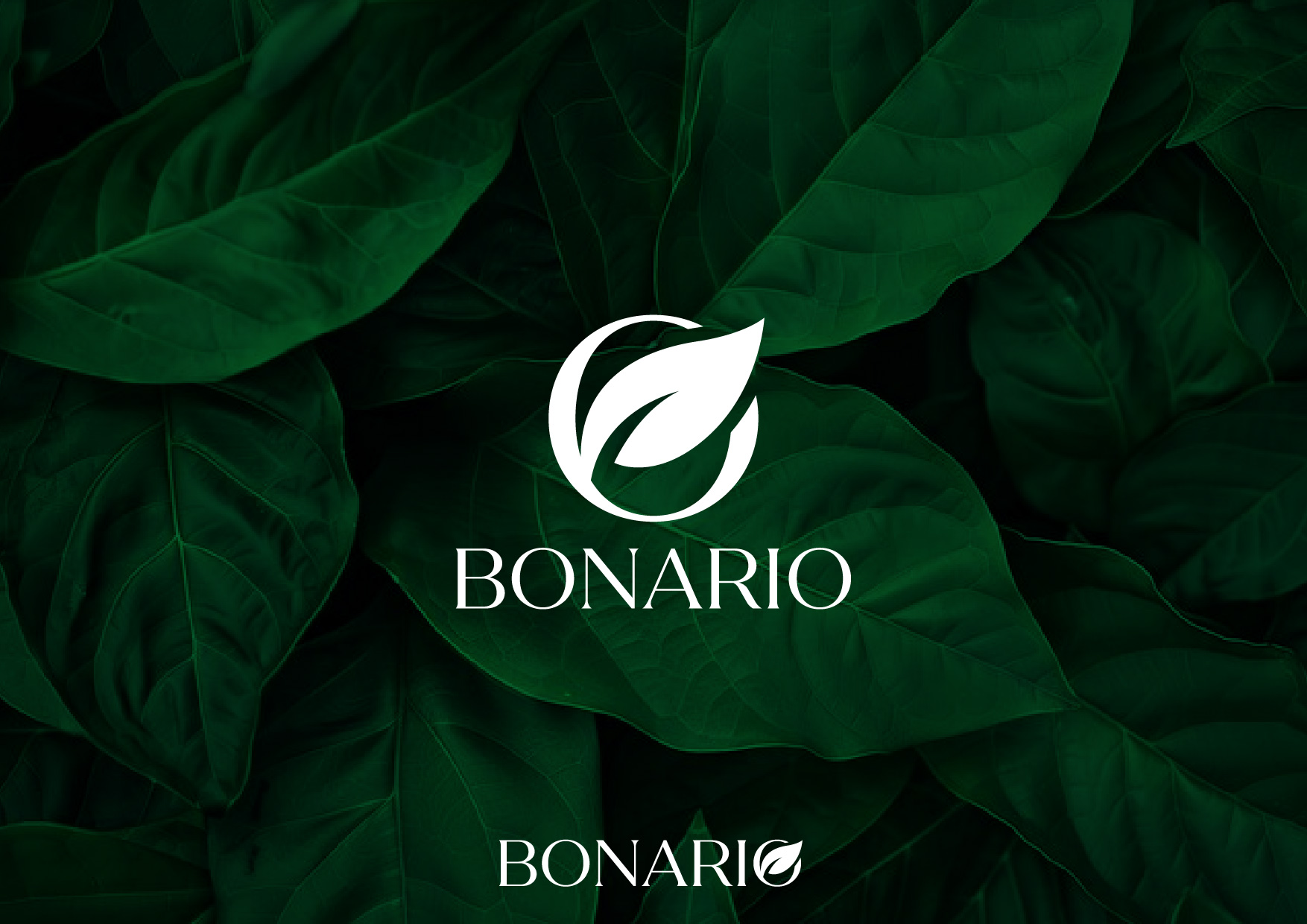 Logo Design by GraphVibes for The Natur GmbH | Design #34223157