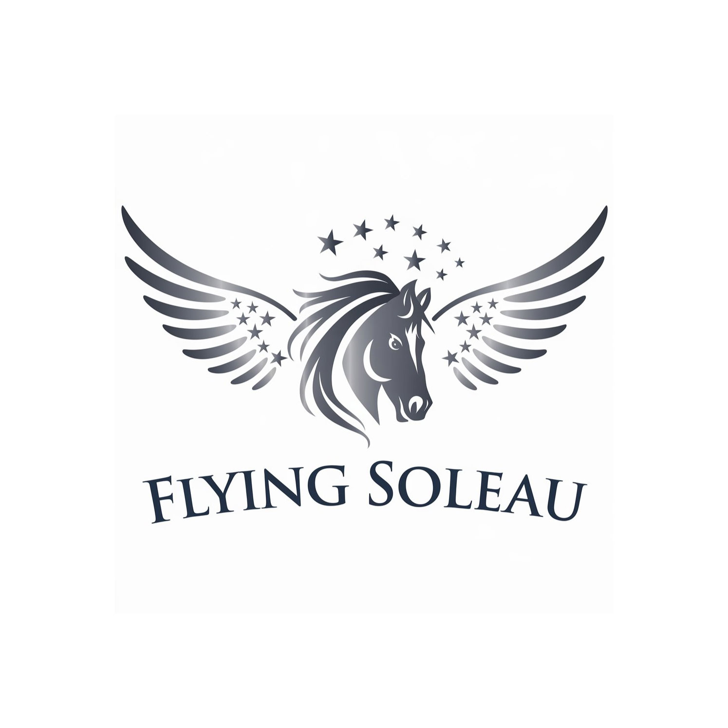 Logo Design by DesignVerse777 for this project | Design #34224205