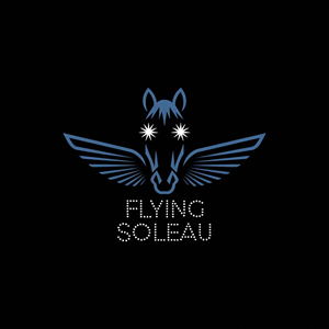 Logo Design by Majesty Design  for this project | Design: #34224462