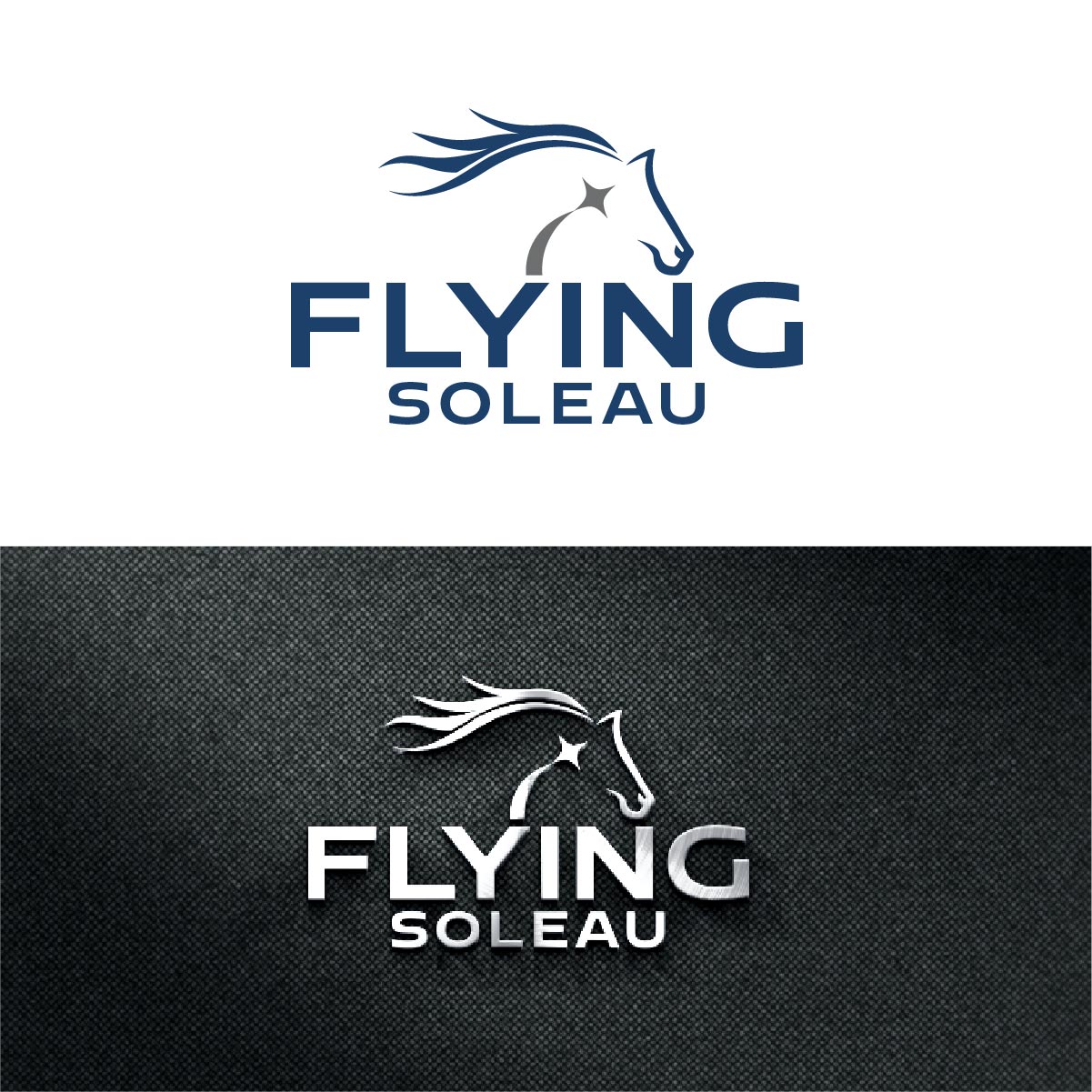 Logo Design by fly  design for this project | Design #34217124