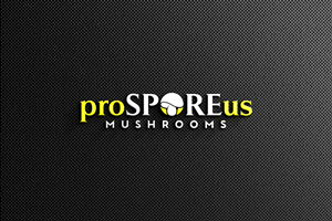 Logo-Design von DesignHour für Last Frontier Fence, LLC | Design: #34242579