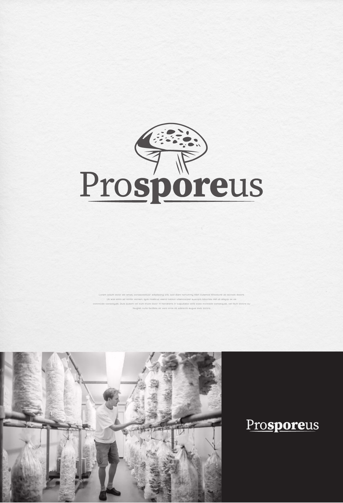 Logo Design by apik. for Last Frontier Fence, LLC | Design #34235158