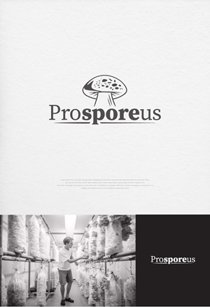 Diseño de Logo por apik. para Last Frontier Fence, LLC | Diseño: #34235158