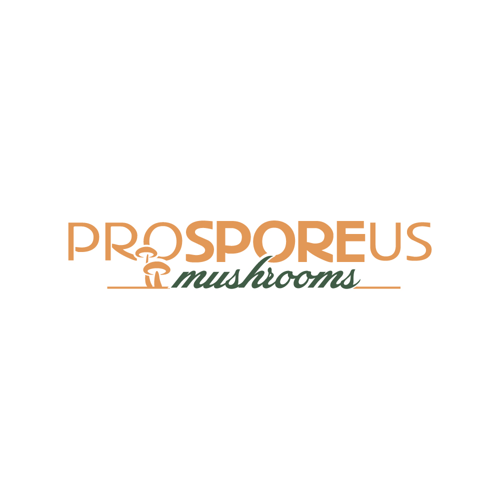 Logo-Design von Krold IT Solutions für Last Frontier Fence, LLC | Design #34247721