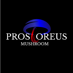 Logo Design by Musative1