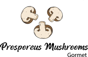 Logo Design by Malibu300 for Last Frontier Fence, LLC | Design: #34249442
