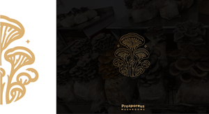Logo-Design von mostafahegazy für Last Frontier Fence, LLC | Design: #34242711