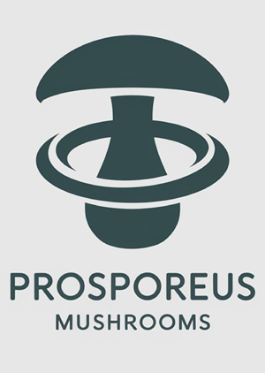 Logo Design by Gulsher