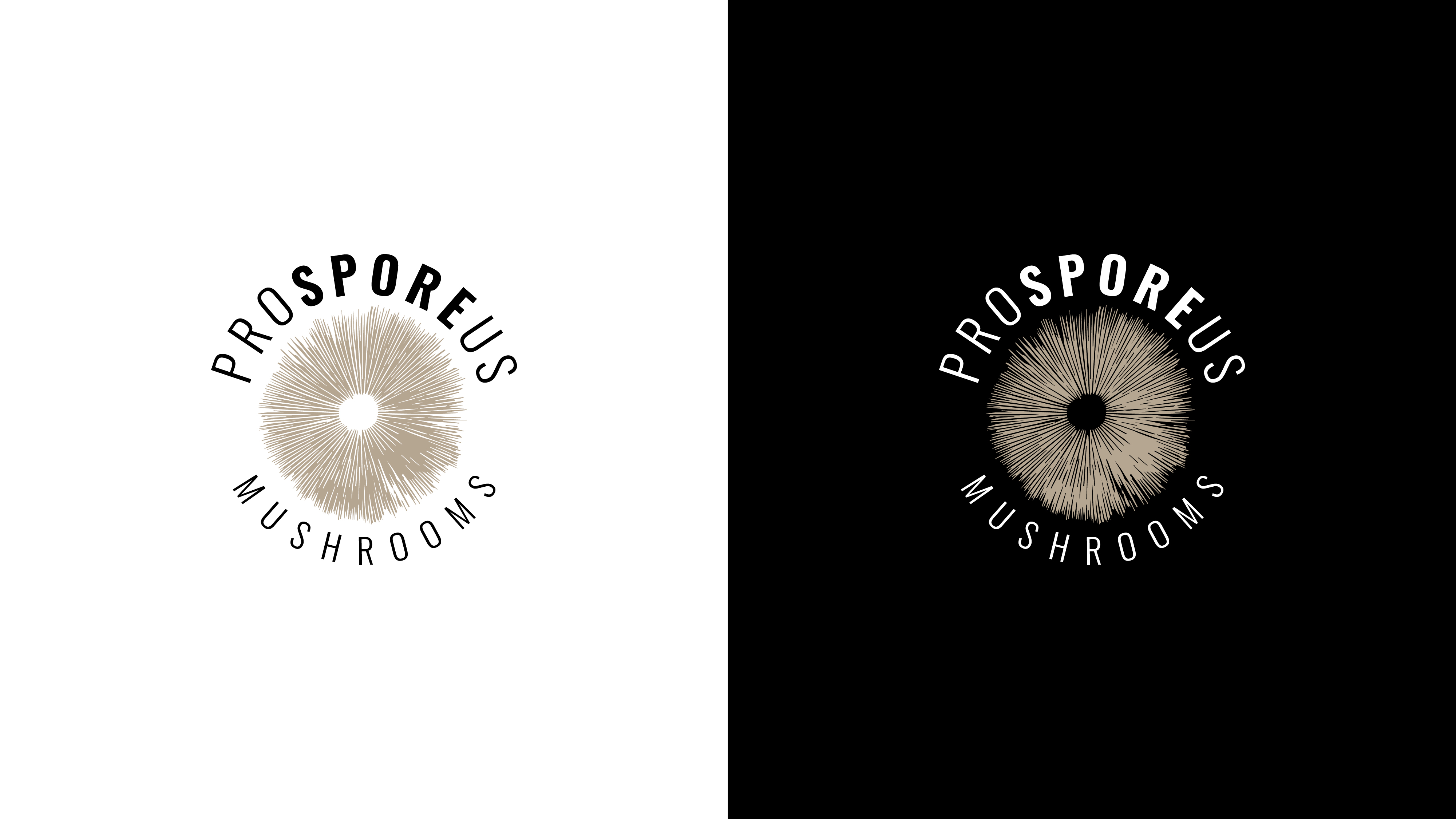 Logo Design by phosphorus for Last Frontier Fence, LLC | Design #34249504