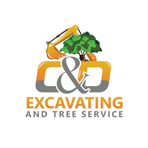 Logo Design by Revolt Team