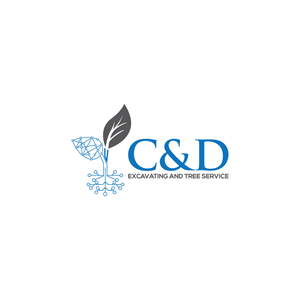 Logo Design by hossain32 for this project | Design: #34244453