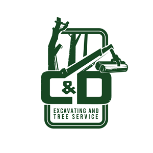 Logo Design by Dhimant Maloo