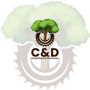 Logo Design by CrewType for this project | Design: #34235484