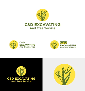 Logo Design by Ashraful 9