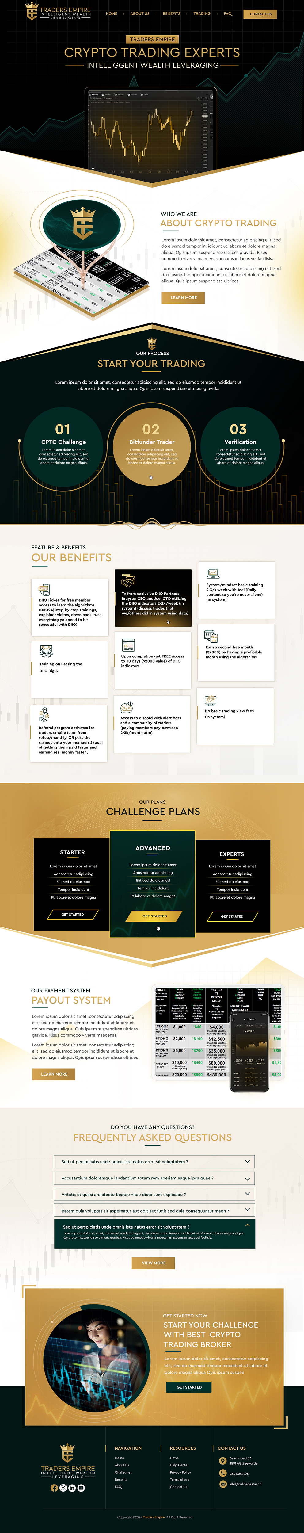 Web-Design von Blue Sparrow für Ingenious Business Solutions, LLC | Design #34247777