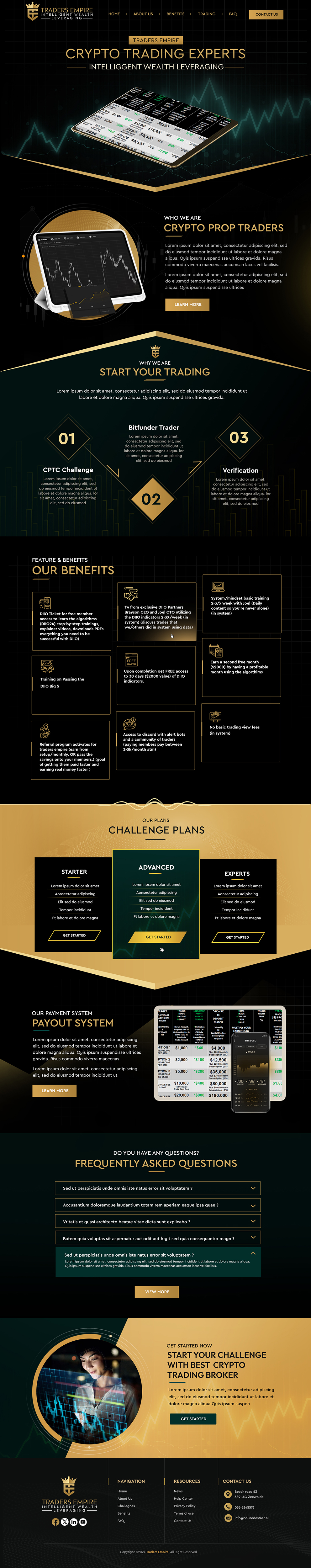 Web Design by Blue Sparrow for Ingenious Business Solutions, LLC | Design #34247804