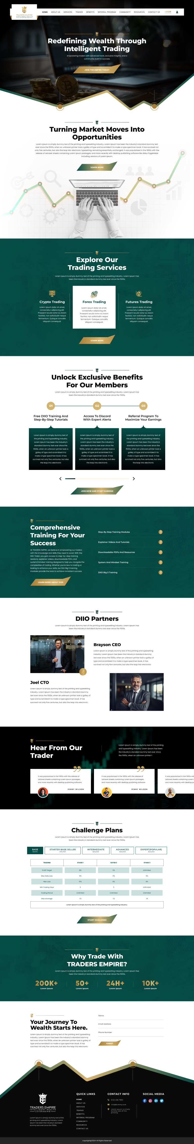 Web Design by Hafsa Fatymah for Ingenious Business Solutions, LLC | Design #34274089