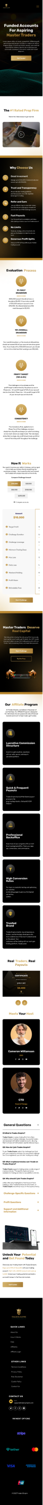 Web Design by Taufik H for Ingenious Business Solutions, LLC | Design #34285859