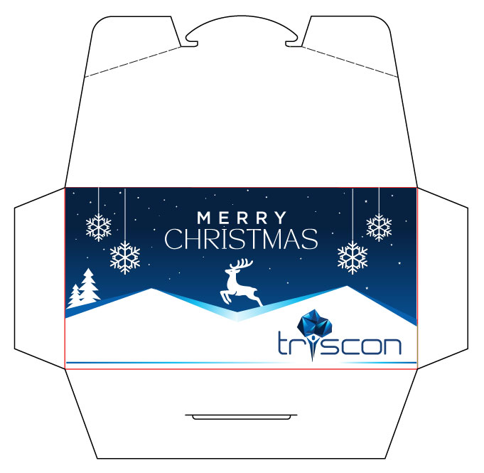 Envelope Design by SAI DESIGNS for triscon IT-Services GmbH | Design #34256556