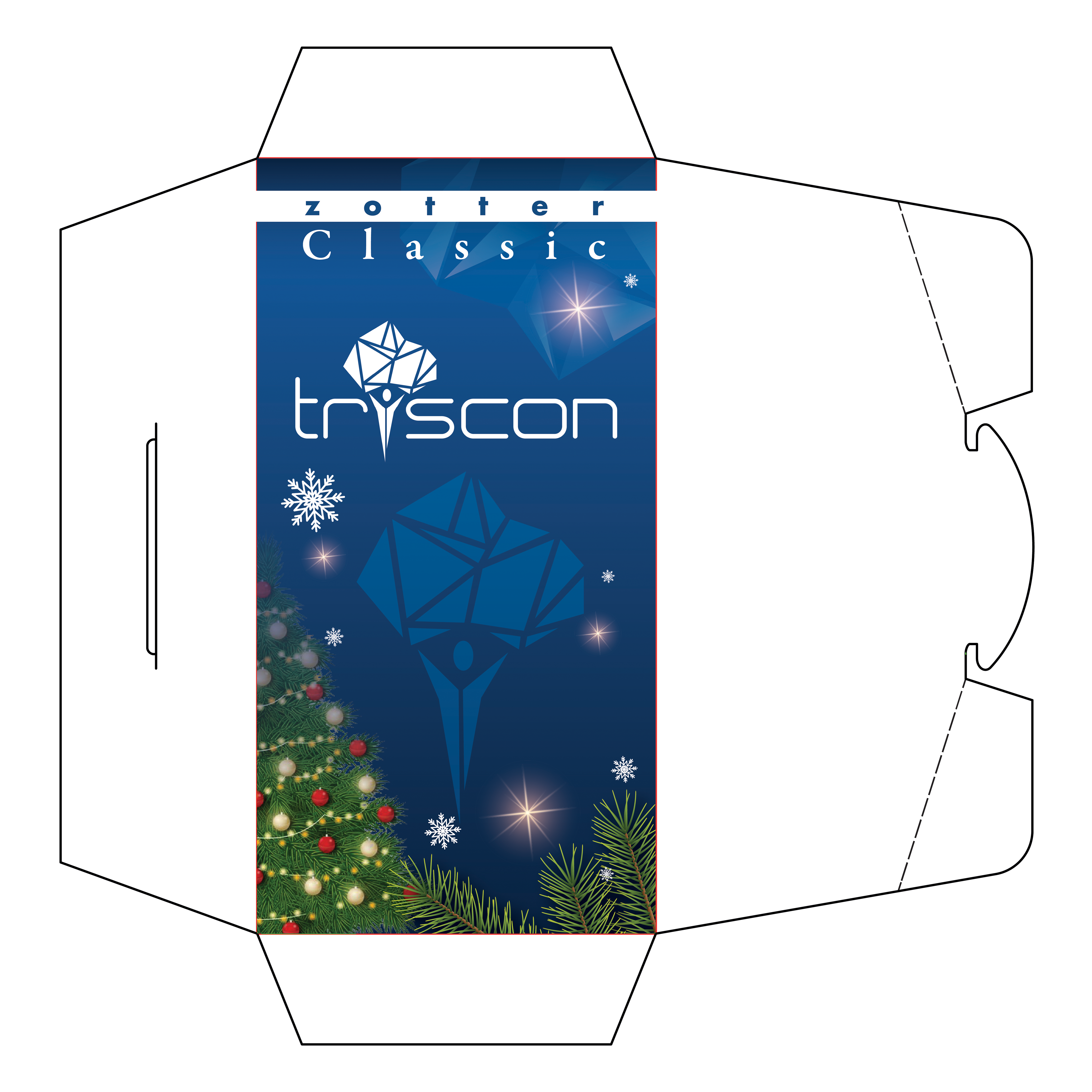 Envelope Design by Impressive Designs for triscon IT-Services GmbH | Design #34282115