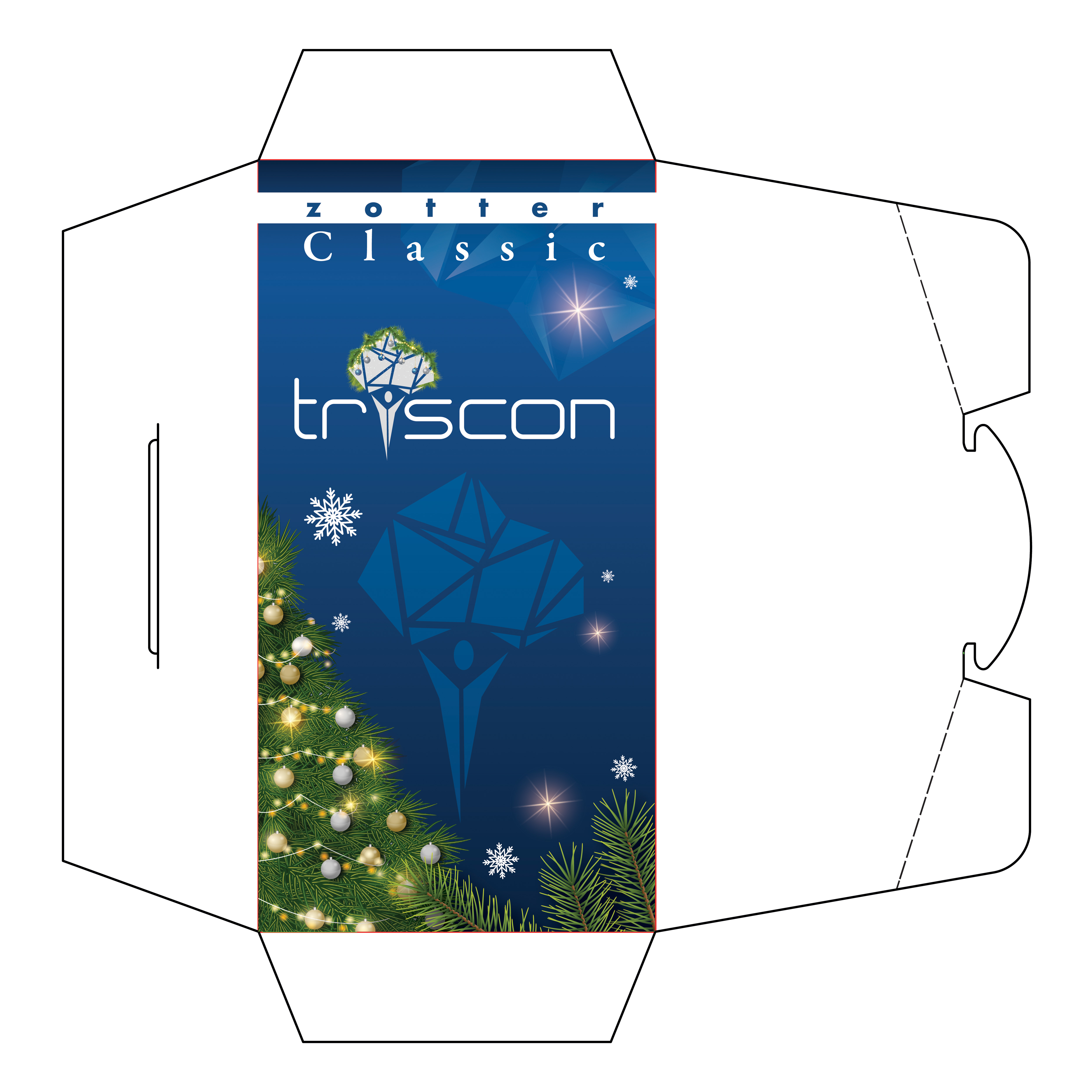 Envelope Design by Impressive Designs for triscon IT-Services GmbH | Design #34290044