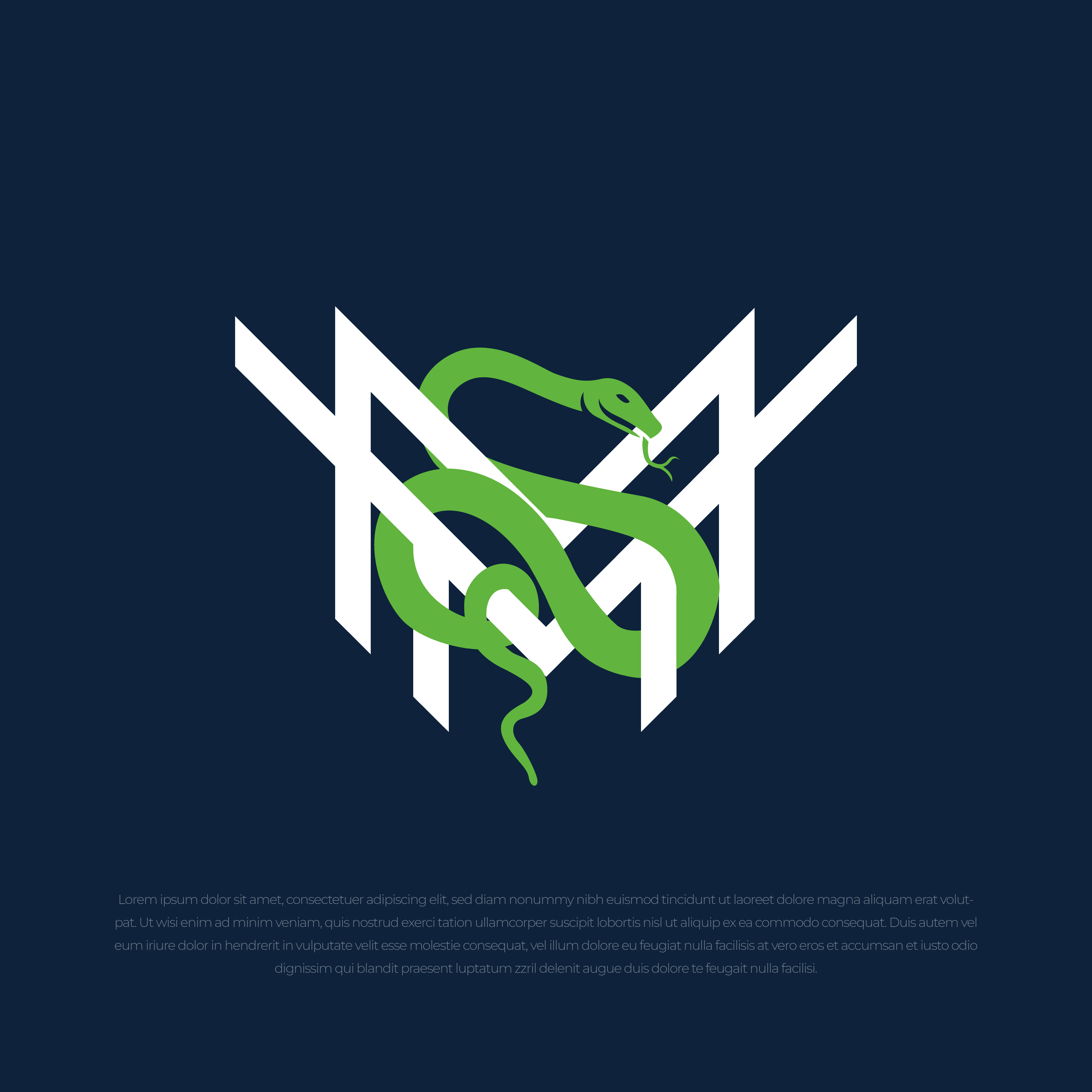 Logo Design by faria24/7 for Viper Valley Media | Design #34252524