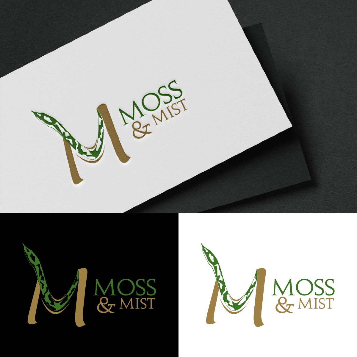 Logo Design by fly  design for Viper Valley Media | Design #34252033
