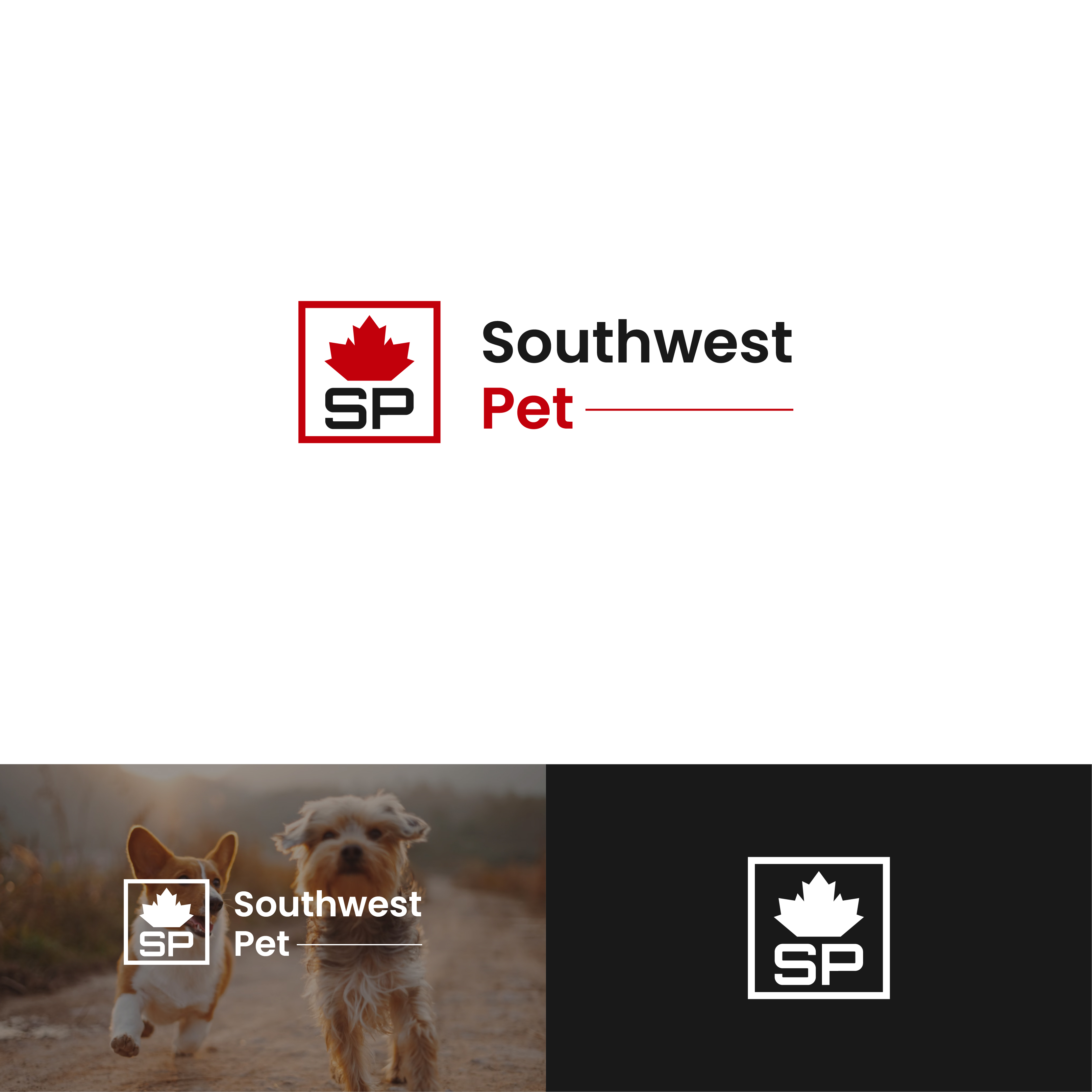 Logo-Design von Boril Std für Himalaya Group Inc | Design #34256175