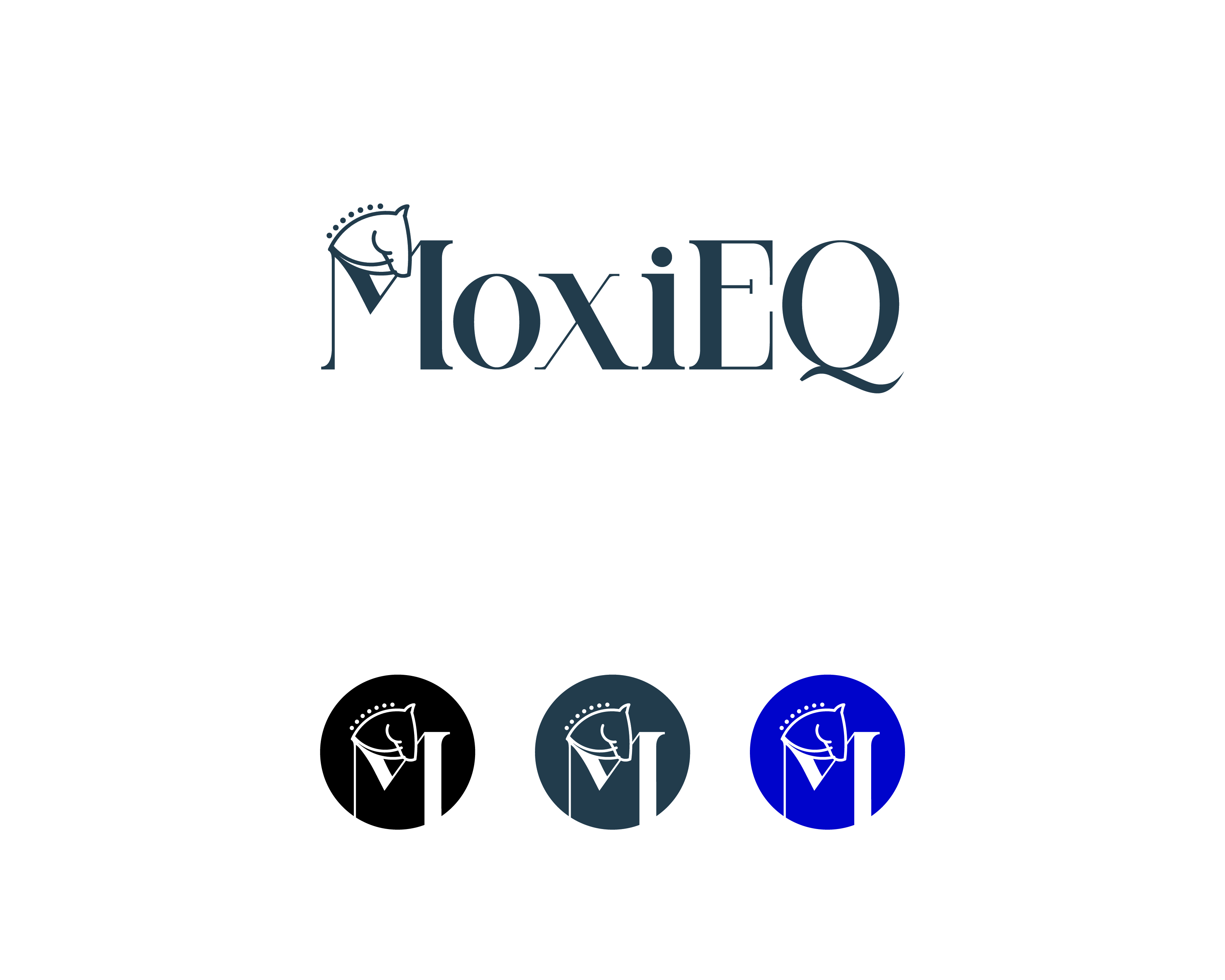 Diseño de Logo por BANI GD para este proyecto | Diseño #34255355