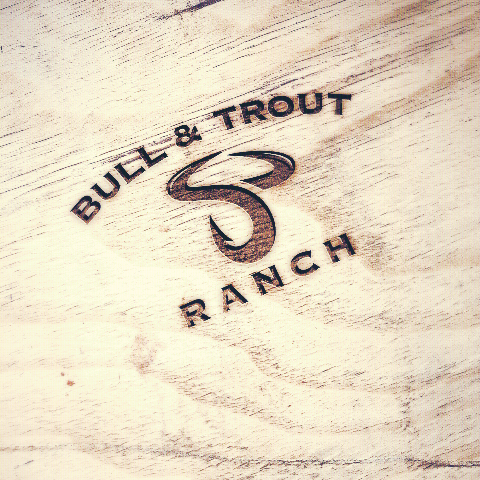 Logo Design by Solarex Corporation for this project | Design #34279529