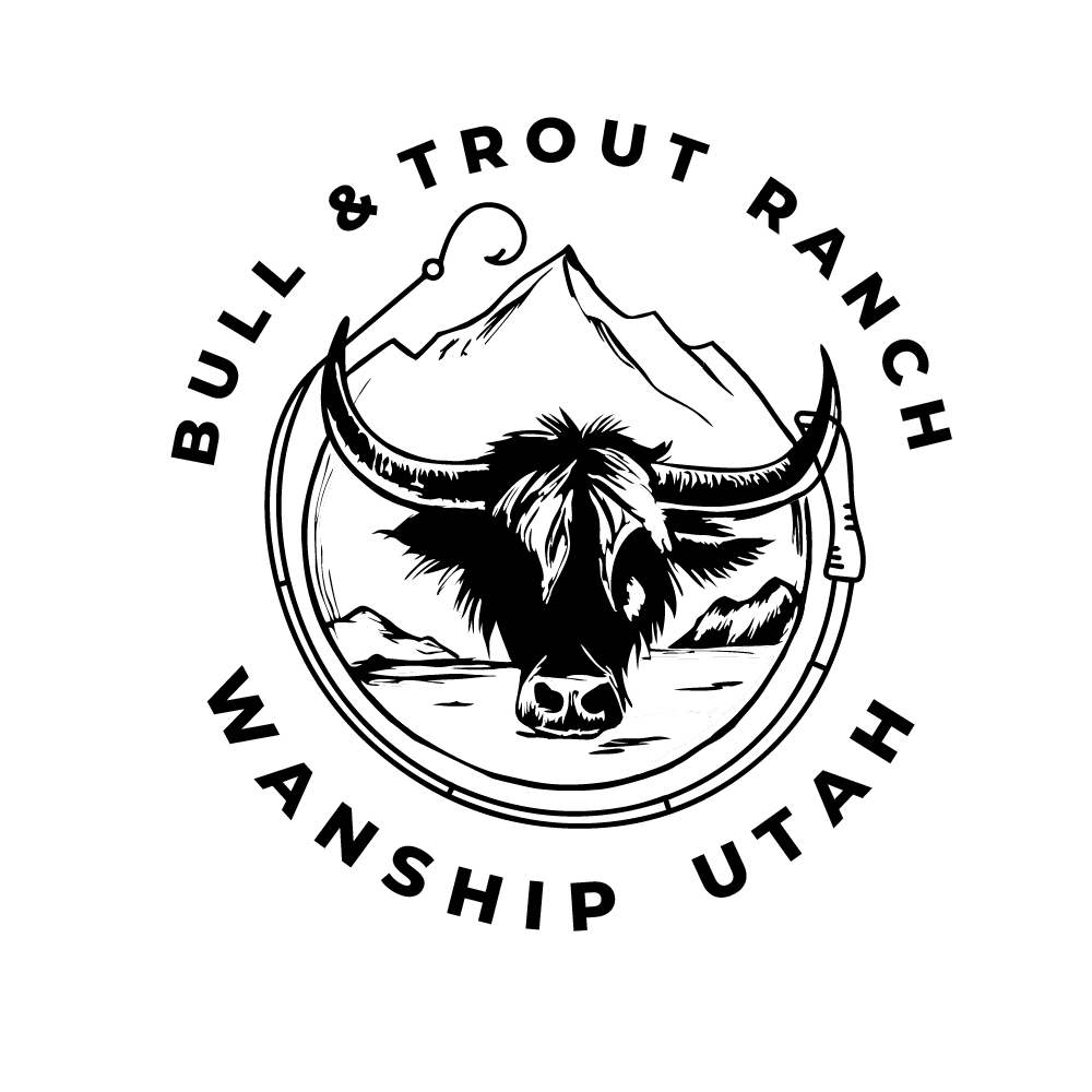 Design de Logo par DesignNXT pour ce projet | Design #34267888